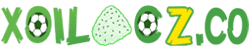 y6